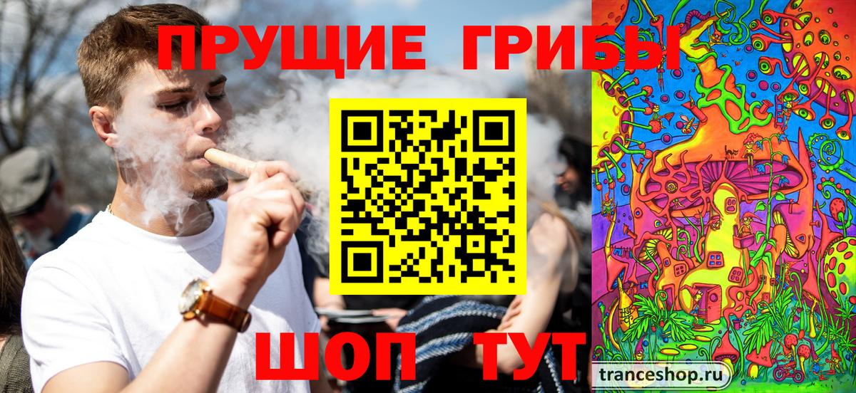 Псилоцибиновые грибы ЛСД Петрозаводск