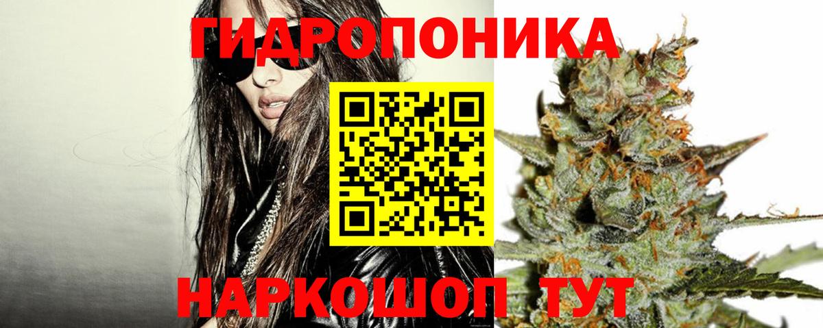 Марихуана AK-47  Бошки марихуана Ganja  Шишки марихуана гибрид  Вход с VPN  Петрозаводск  Каннабис Bruce Banner 
